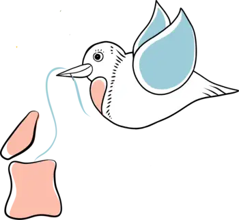 Lillizahn Praxis für Kinder- und Jugendzahnheilkunde